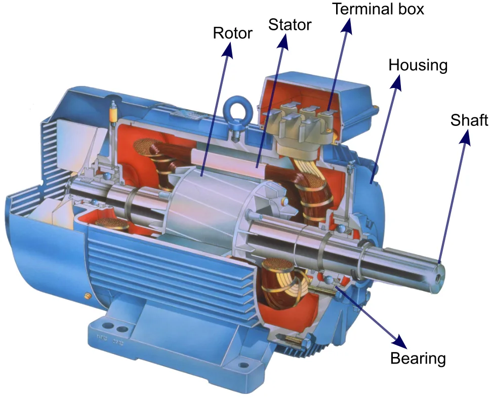 Is Revving a Cold Engine Bad? The Truth